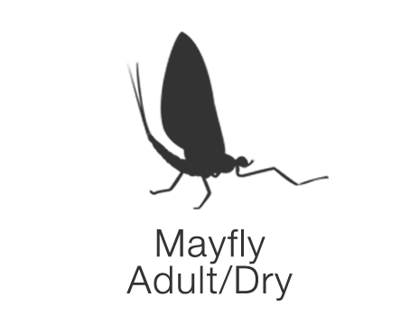 mayfly-dry-icon