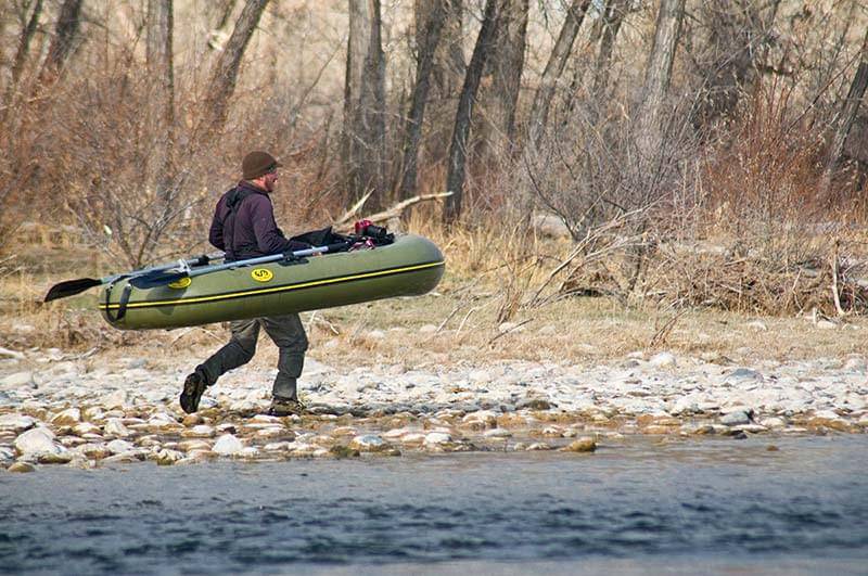 allen-gardner-bighorn-2013