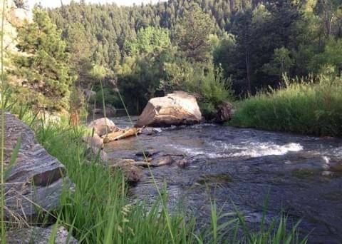 bear-creek-cold-spring-gulch-2-480x342