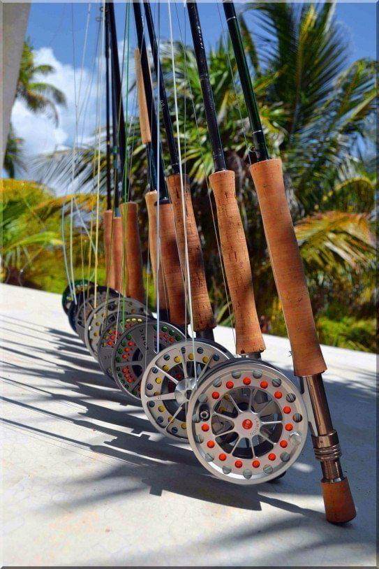 Basic nymphing rods reels and lines