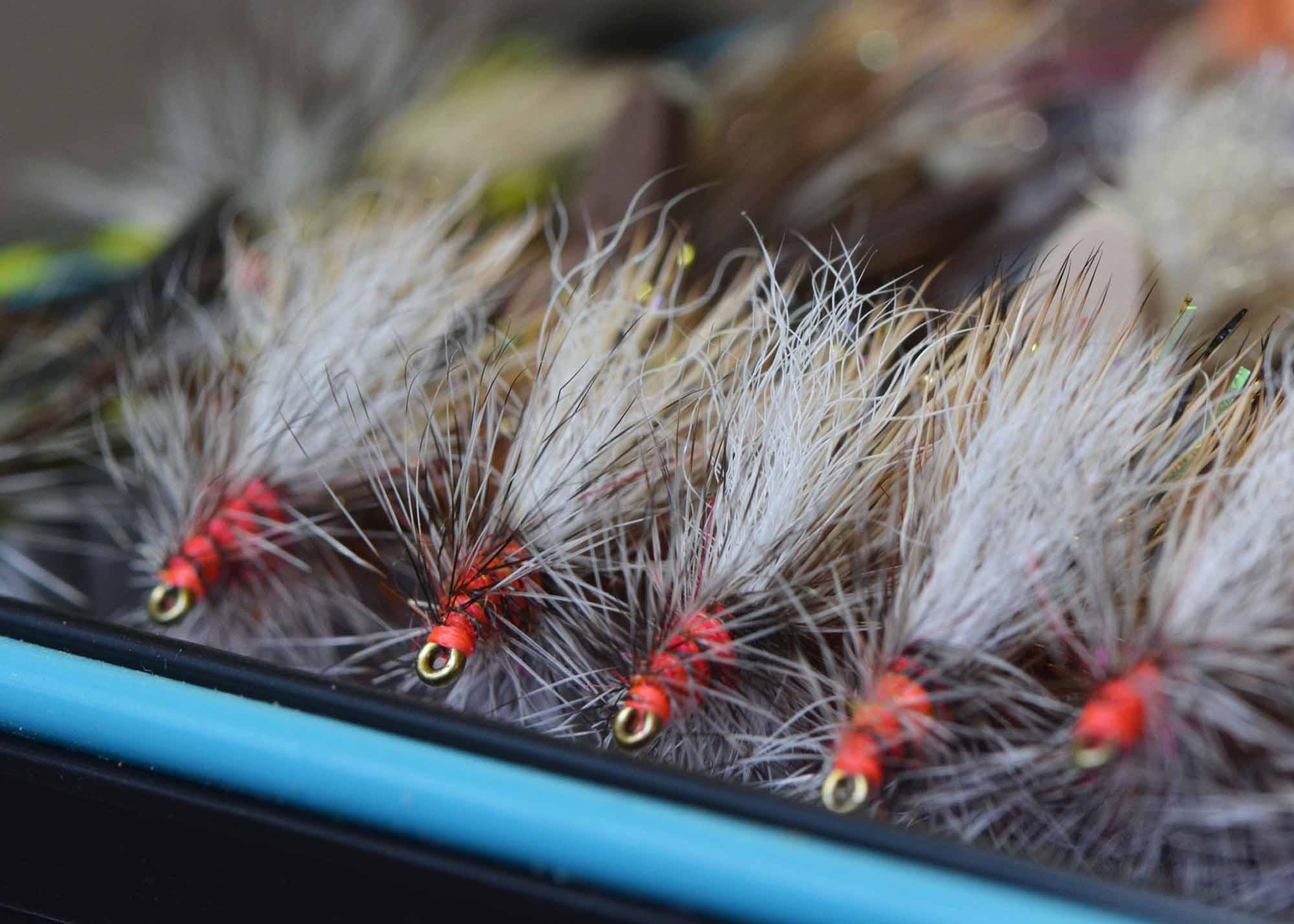 Create Your Fly Box Course