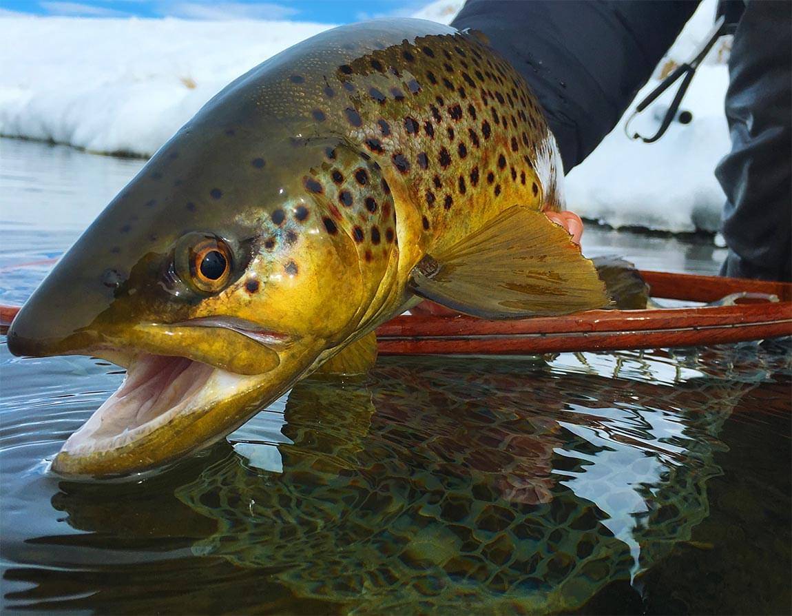 Quick Release Quick Release