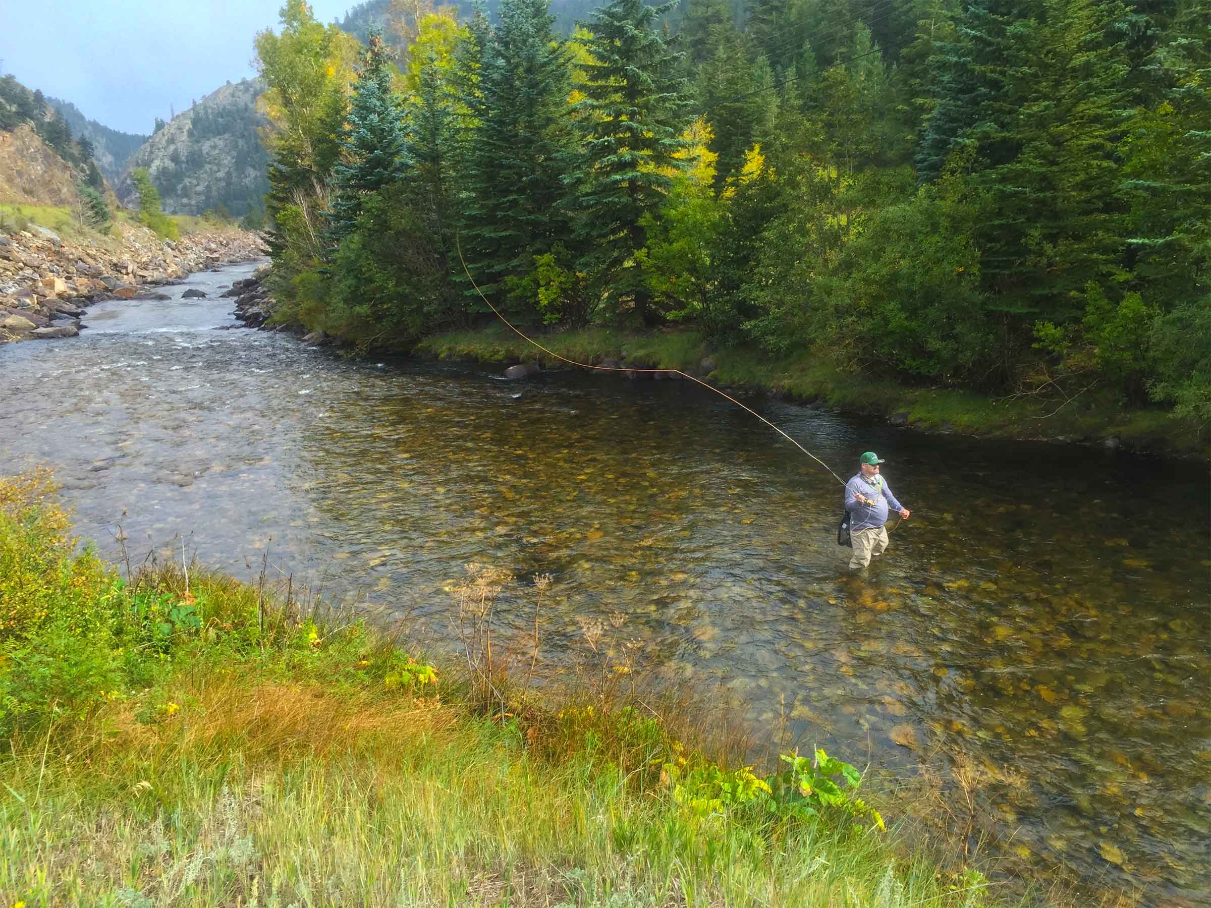 Clear-Creek-Middle-Section-Fall-River-Road-4
