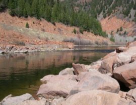 frying pan river tailwater section