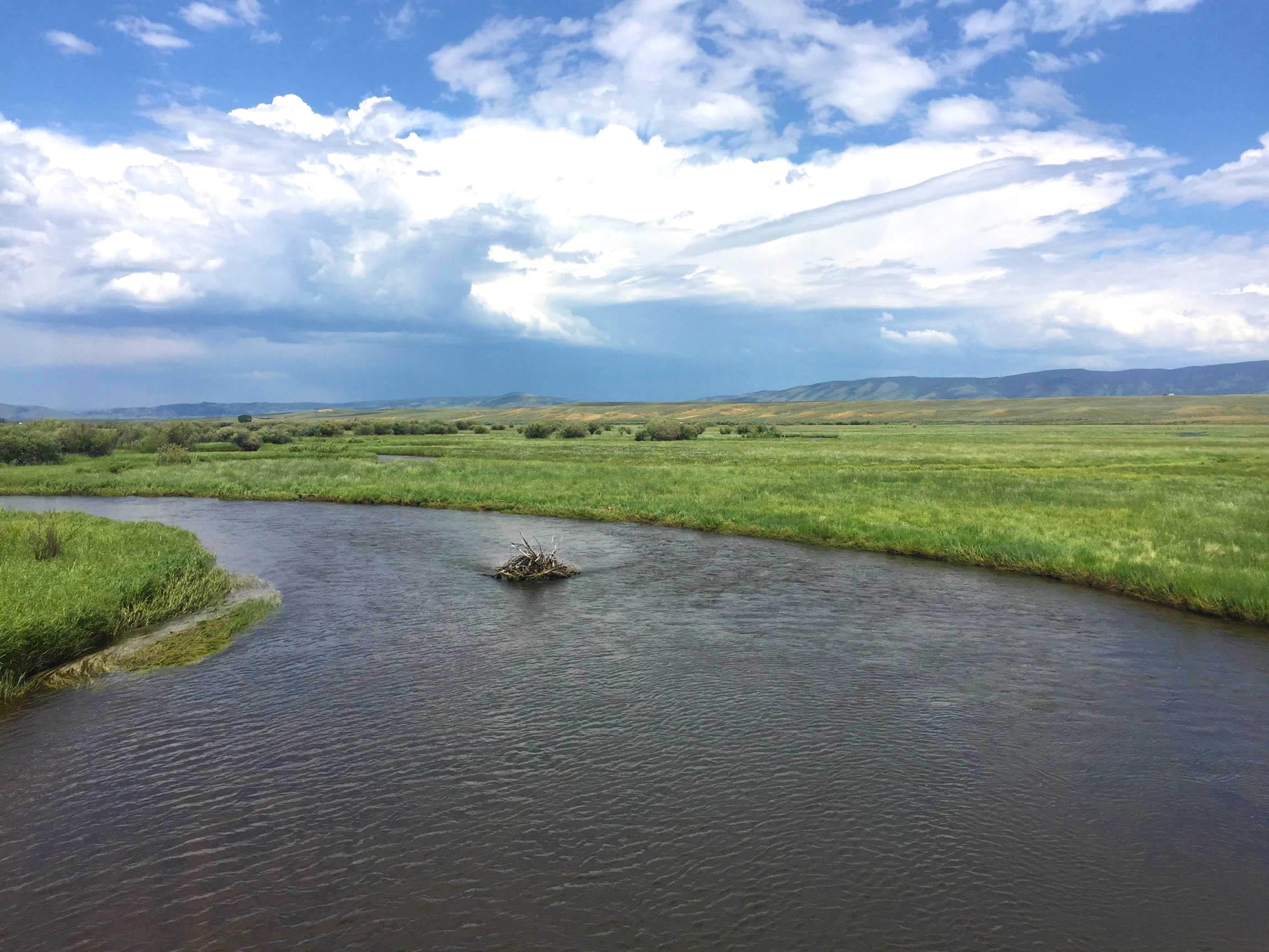 Michigan-River-Lower-Section-9 Michigan-River-Lower-Section-9