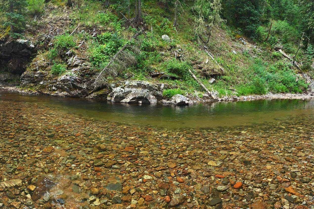 los-pinos-river los-pinos-river