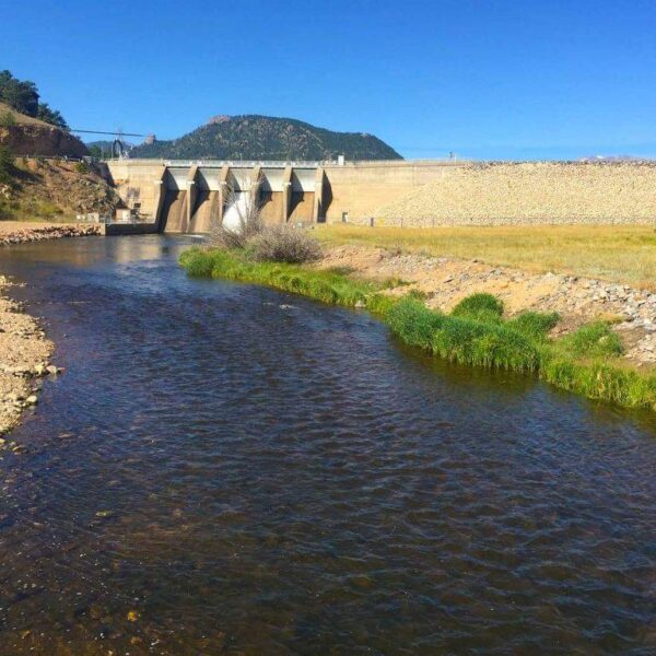 Tailwater Assortment