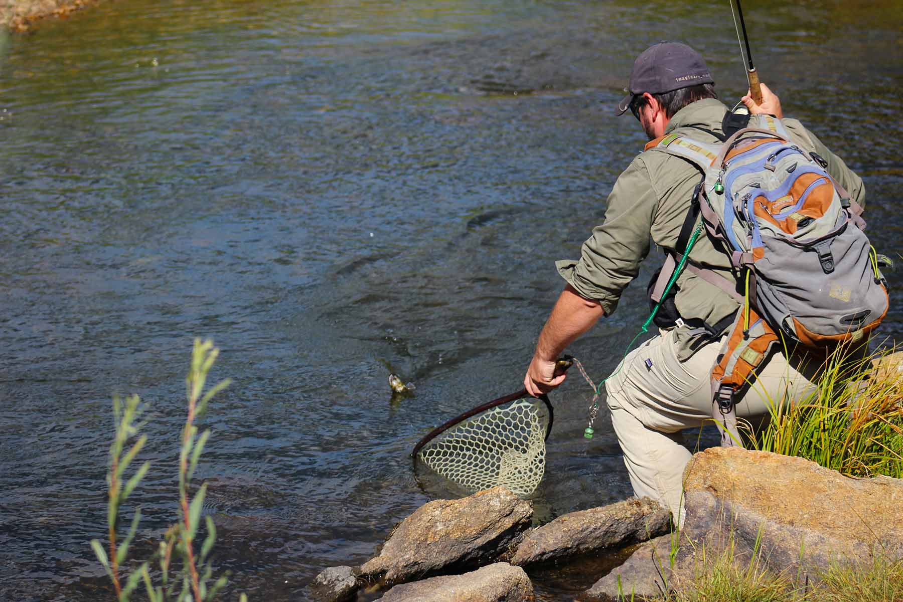 Taryall-Creek-Tailwater-Section-Landing-Rainbow-Trout