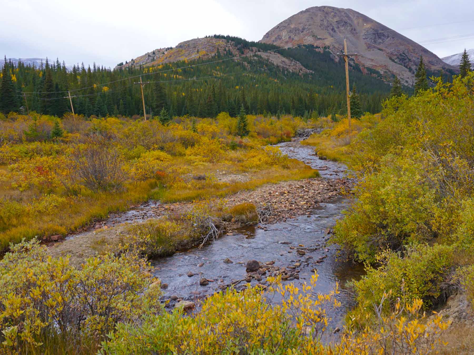 mosquito-creek-middle-fork-south-platte-2