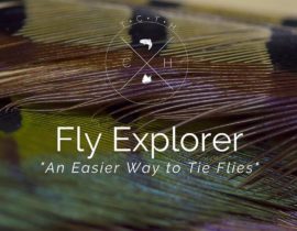 fly-explorer