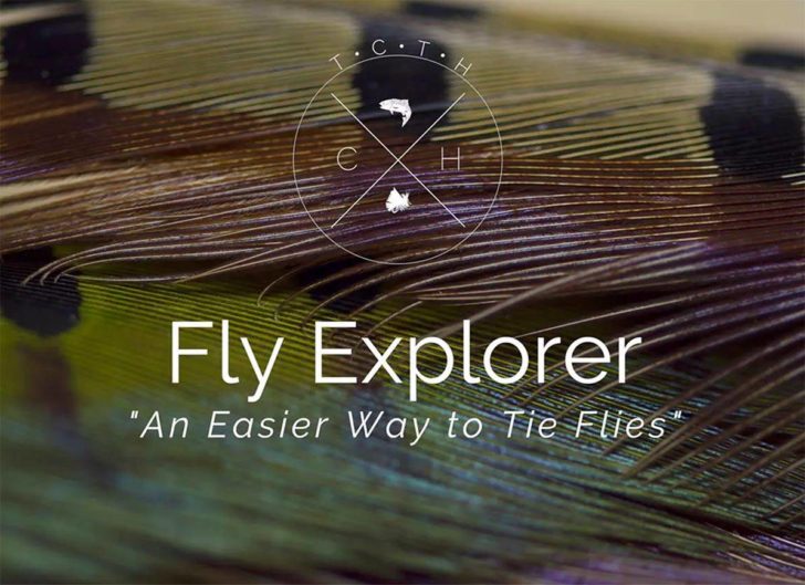 fly-explorer