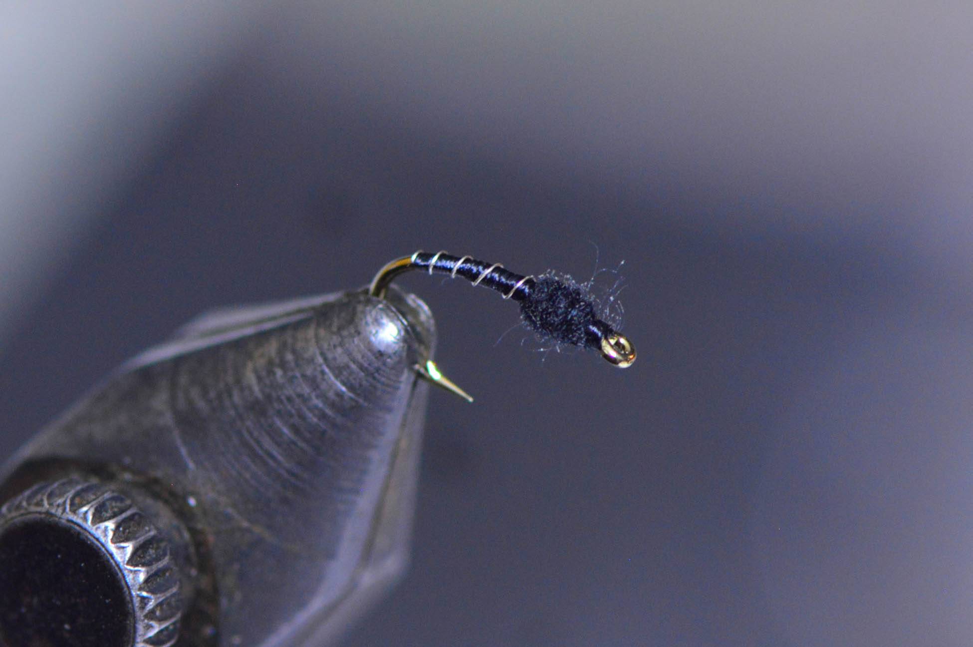 black-beauty-fly black-beauty-fly