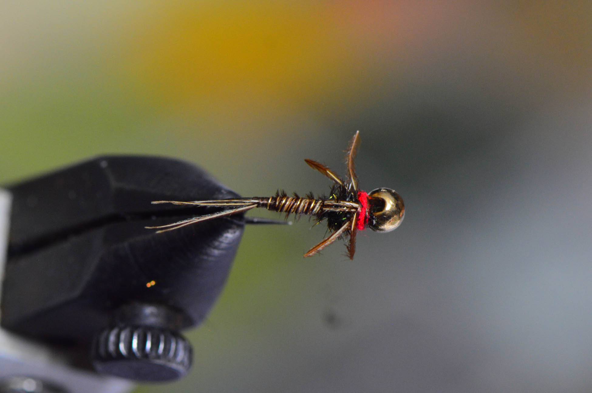 euro-pheasant-tail-2 euro-pheasant-tail-2