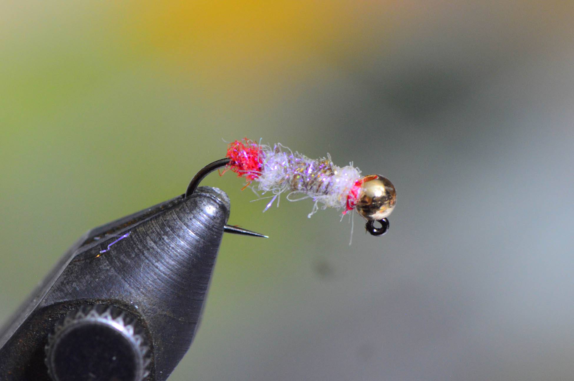 euro-walts-worm euro-walts-worm