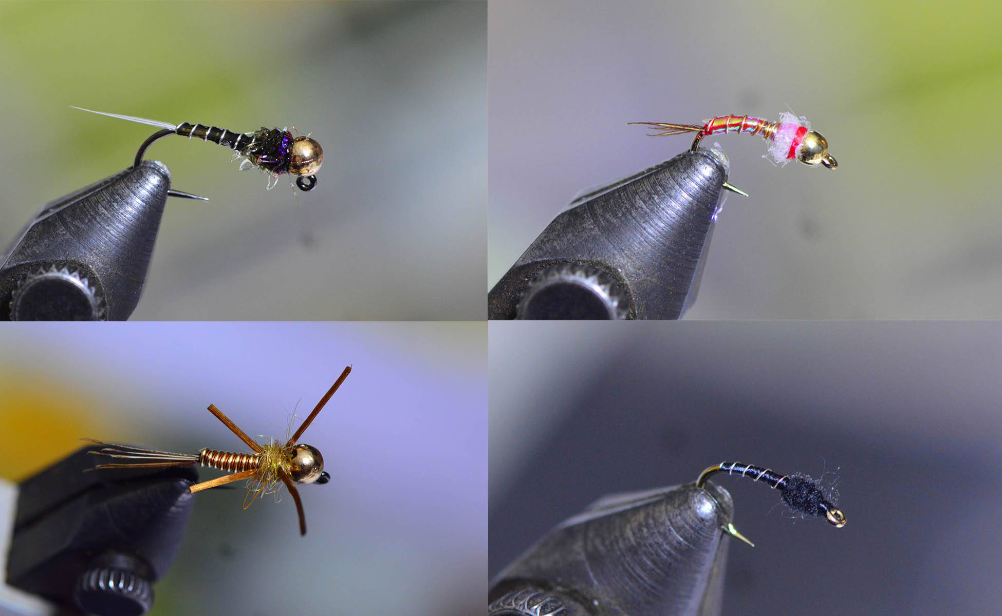 four-kinds-of-fly-patterns four-kinds-of-fly-patterns