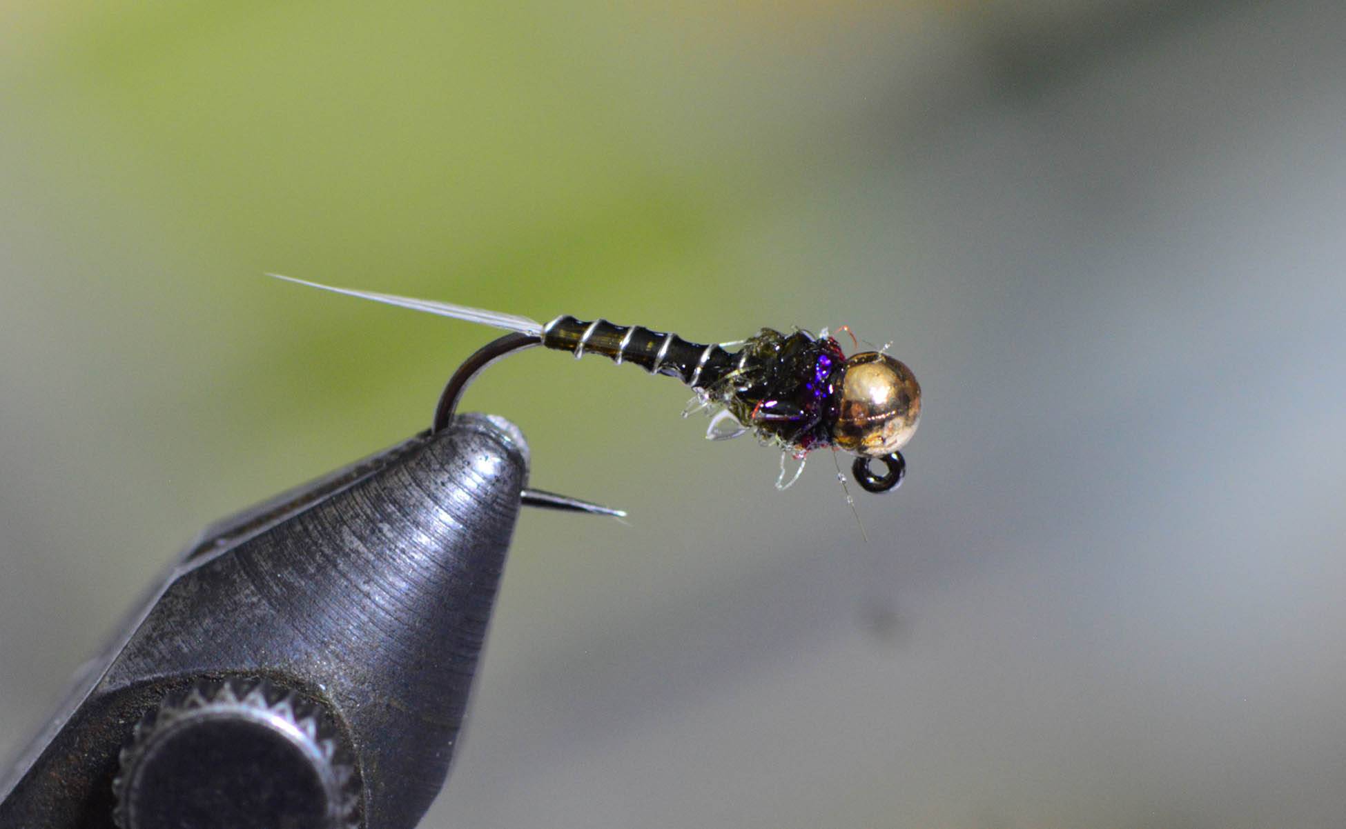 iron-lotus-variant iron-lotus-variant