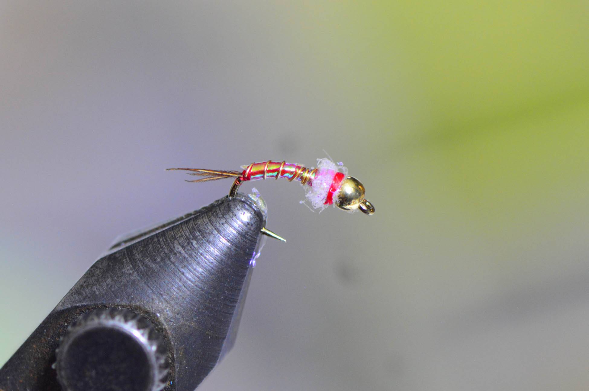 rainbow-warrior-2 rainbow-warrior-2