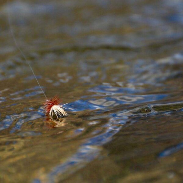 Dry - Dropper Fly Assortment