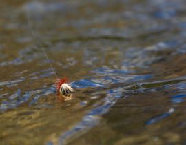Dry Fly Assortment