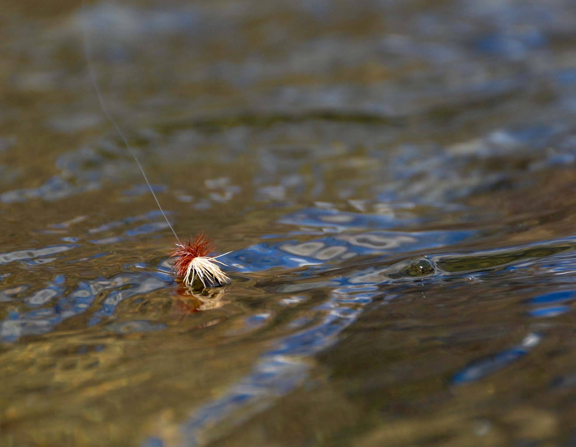 Dry - Dropper Fly Assortment