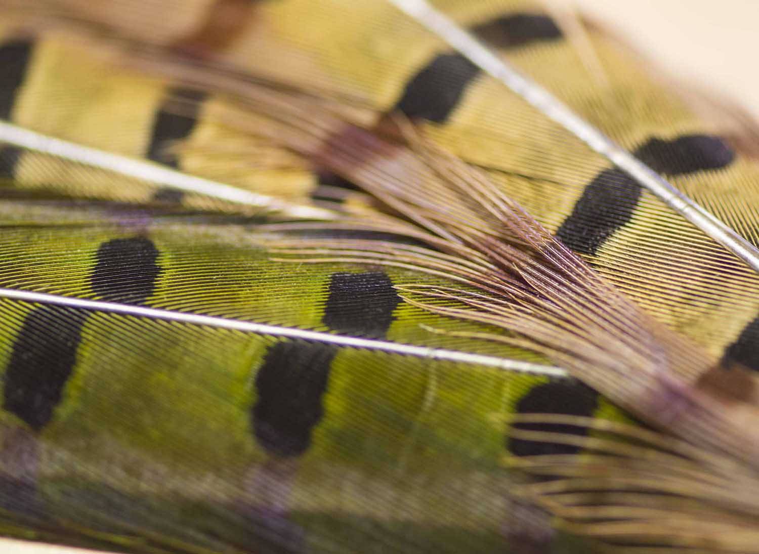 Learn to Tie Perfect Flies