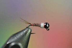 Beadhead-Frenchie-Brown-White