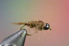 Brown-Hares-Ear-Closeup