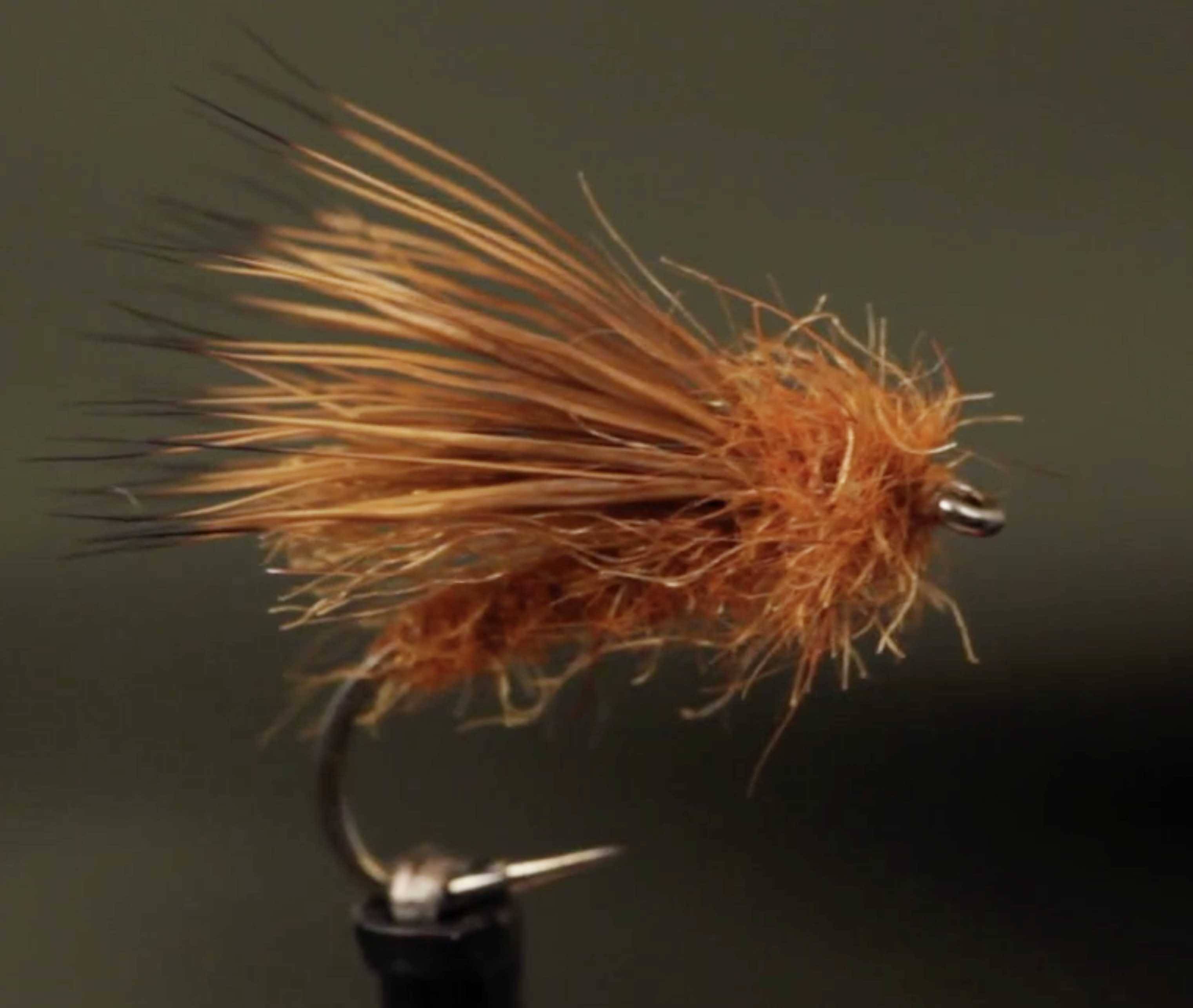 An October Caddis Tied by Tightlines Productions