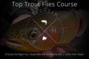 Top-Trout-Flies-Course-Header