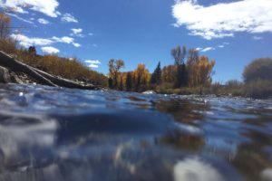 Mastering Stream Flows