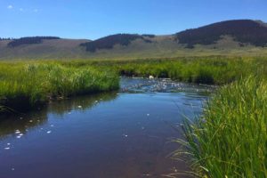 Why I Almost Quit Fly Fishing