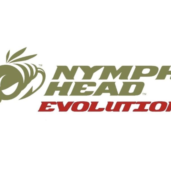 Nymph Head Evolution Assortment