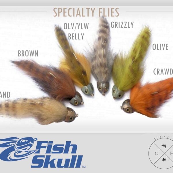 Fish Skull Assortment