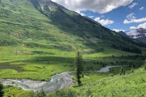 4 Reasons to Ditch the Indicator