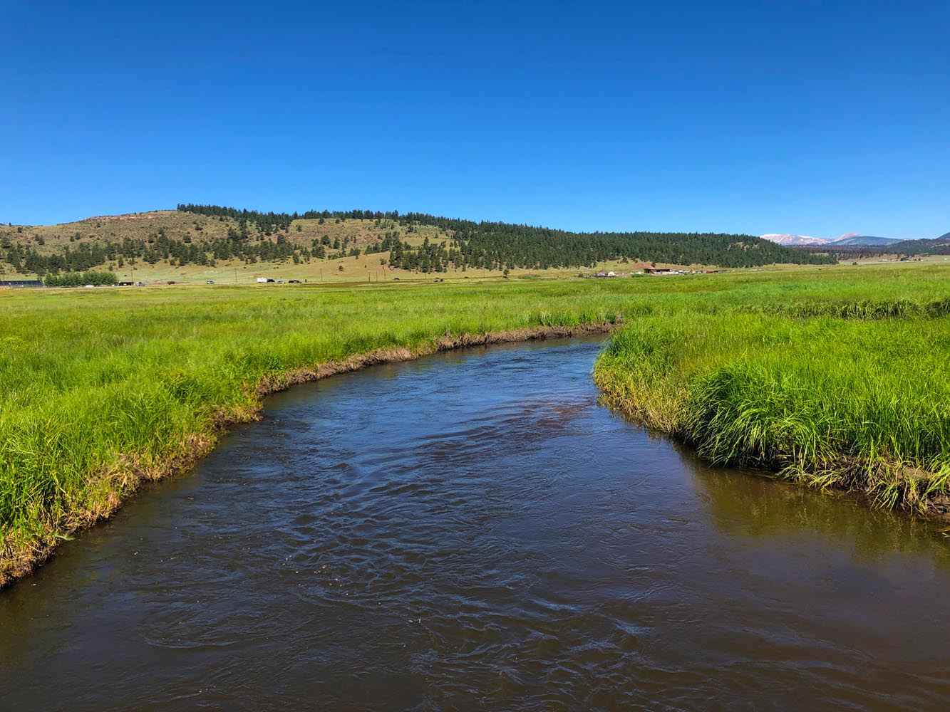 South-Fork-of-South-Platte-Middle-Section-03