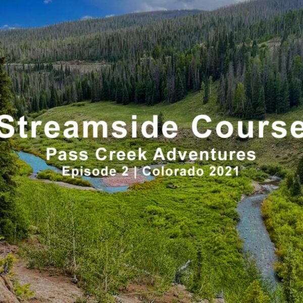 Streamside Course - Episode 2 | Small Creek Adventures