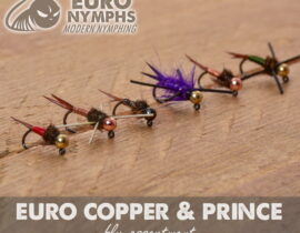Euro Copper & Prince Assortment