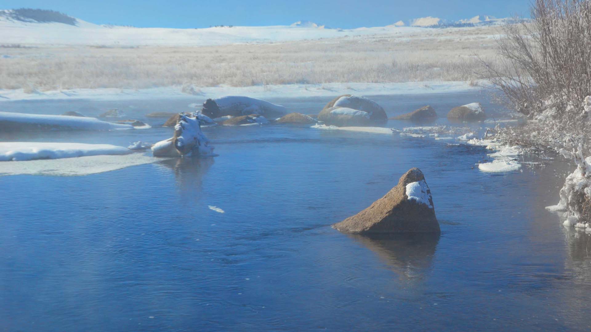 Winter-Fly-Fishing-Dream-Stream-South-Platte-River-Colorado