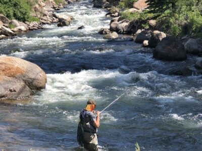 Challenging water for an indicator is routine with the euro-setup.