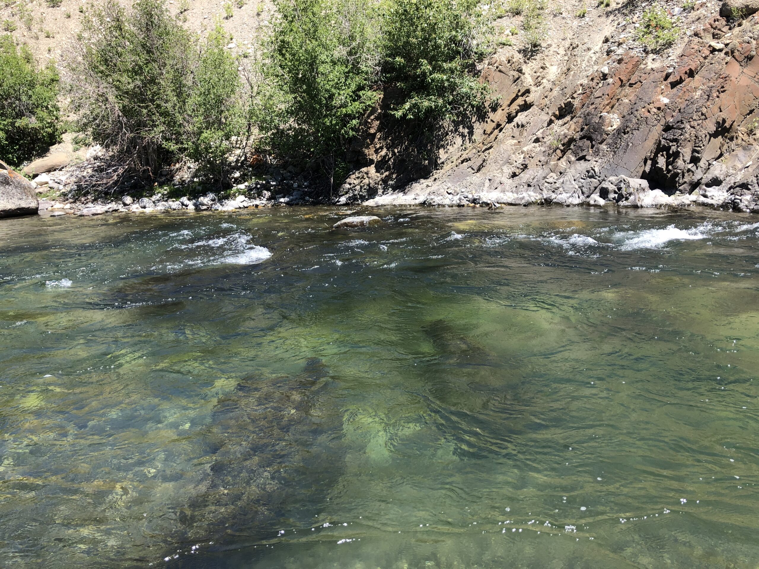 While the water may appear fast at the top of the river, in reality, the current is a fraction of the speed on the bottom.