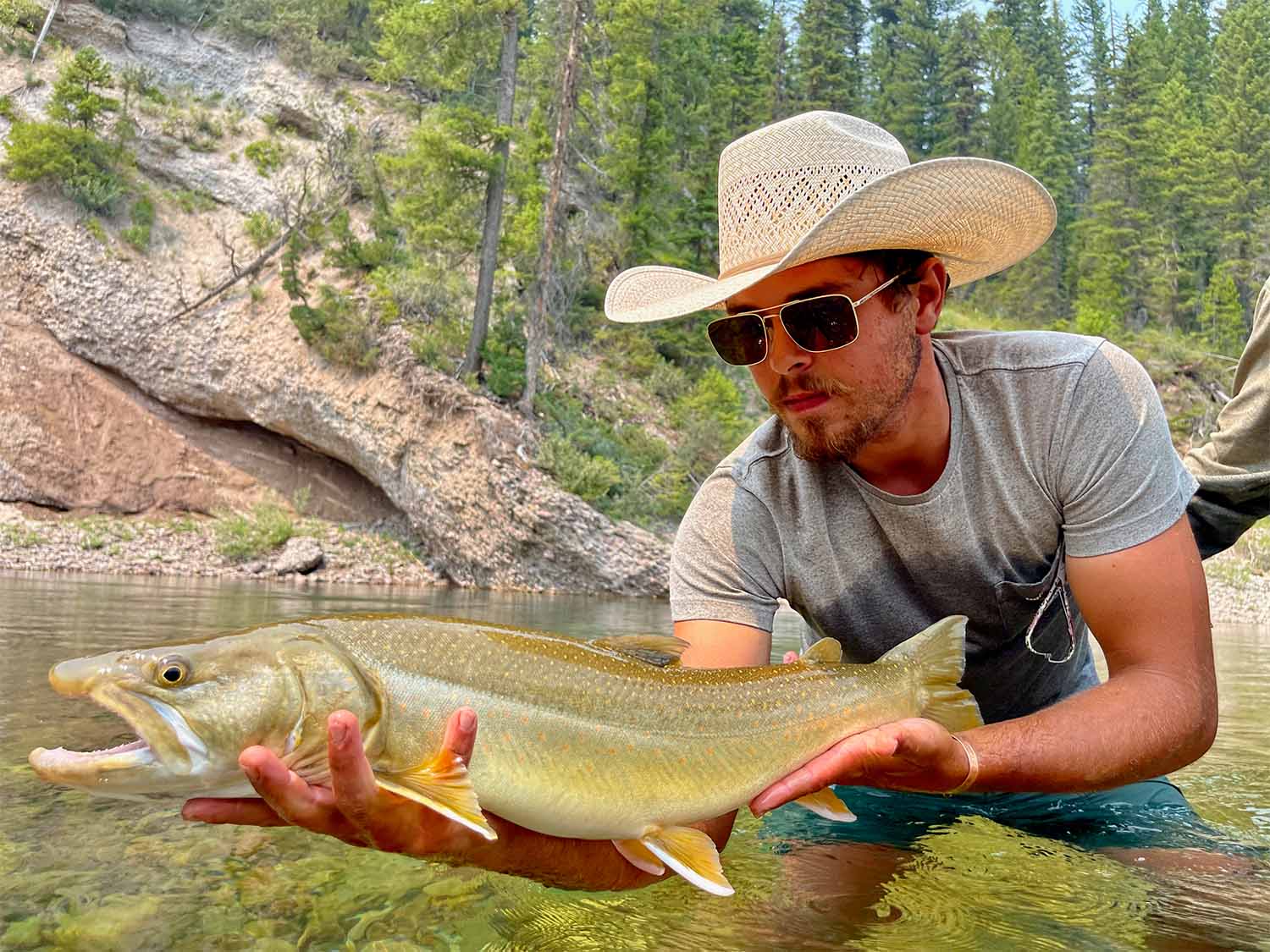 Big-Bull-Trout