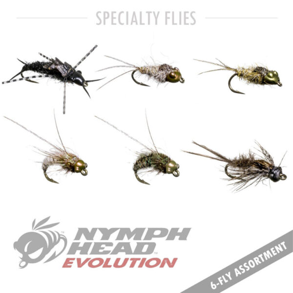 Nymph-Head Evolution - 6 pack
