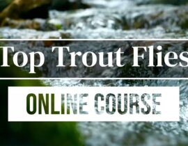 Top Trout Flies Course