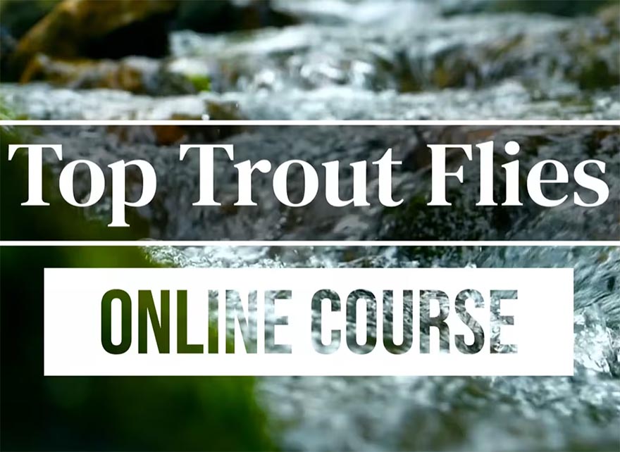 Top Trout Flies Course