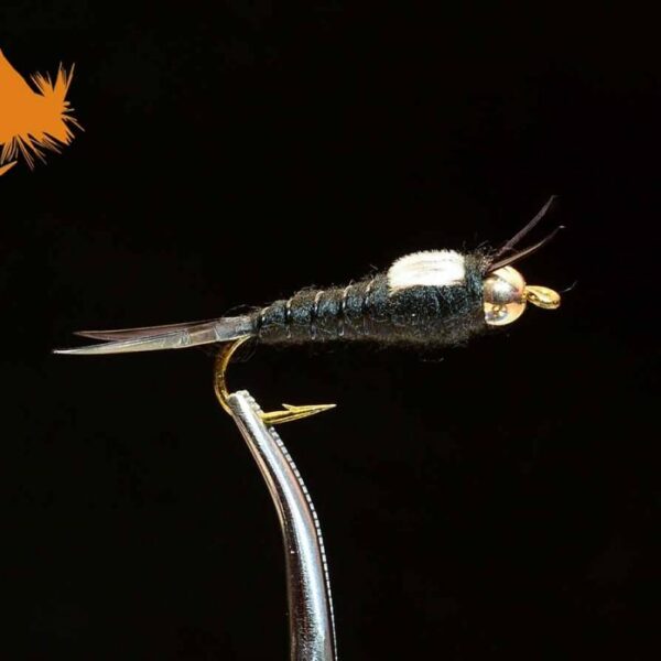 Beadhead Biot Stonefly