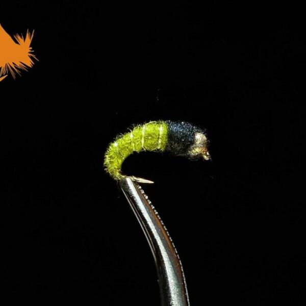 Beadhead Caddis Larva