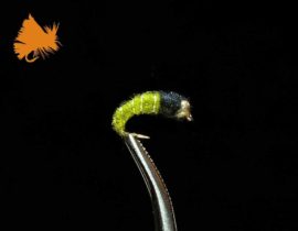 Beadhead Caddis Larva