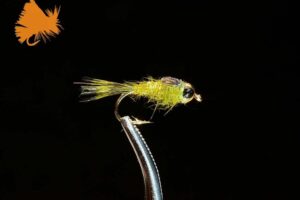 beadhead-hares-ear-olive-sku-542 beadhead-hares-ear-olive-sku-542