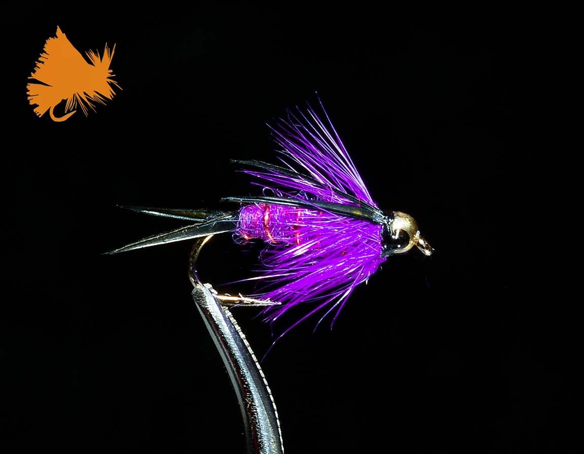 beadhead-prince-nymph-purple-sku-1111 beadhead-prince-nymph-purple-sku-1111