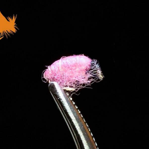 Pink Tailwater Scud